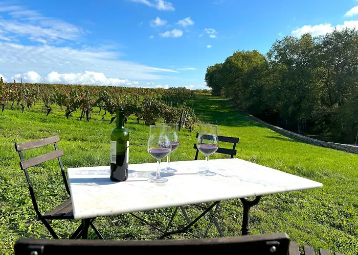 Domaine Coeur Des Vignes Saint-Daunes