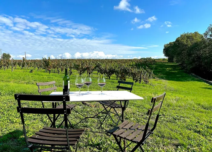 Domaine Coeur Des Vignes Ferienhaus *