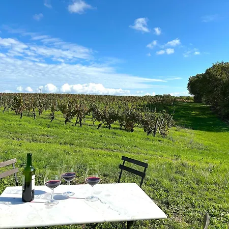 Domaine Coeur Des Vignes * Saint-Daunes