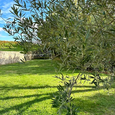 Tatil Evi Domaine Coeur Des Vignes Saint-Daunes