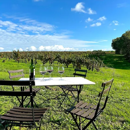 Domaine Coeur Des Vignes Tatil Evi *