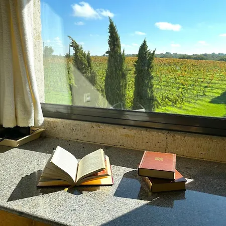 Domaine Coeur Des Vignes Tatil Evi