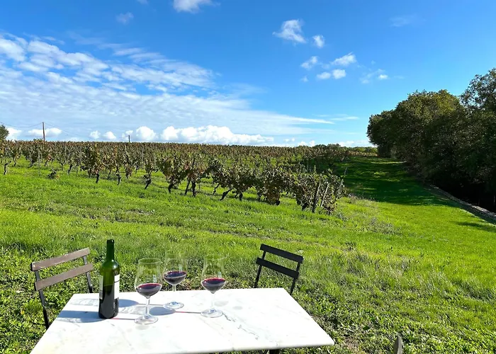 Domaine Coeur Des Vignes * Saint-Daunes